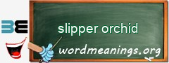 WordMeaning blackboard for slipper orchid